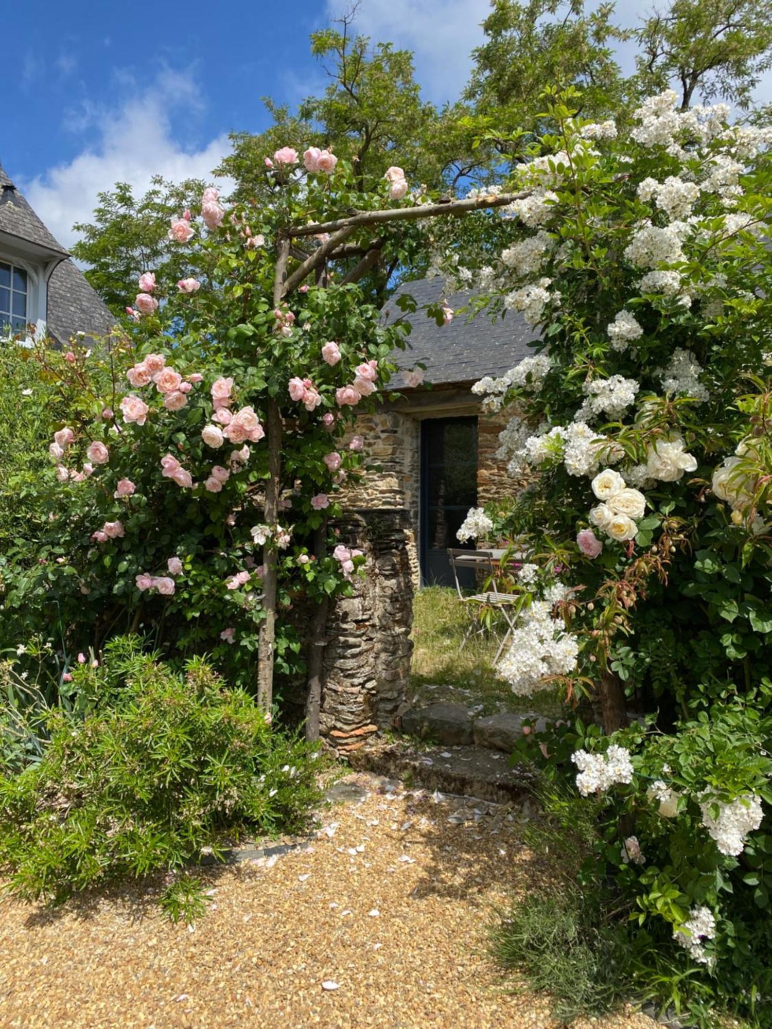 La Mouliniere, Jolie Longere Du Xviie Bed & Breakfast La Jaille-Yvon ภายนอก รูปภาพ